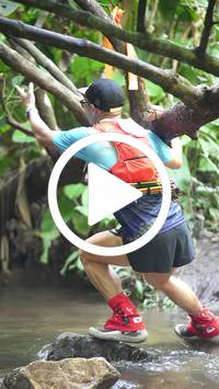 BIB:  <button type="button" onclick="openModal(27529750)" class="btn btn-primary btn-sm float-right" data-toggle="modal" data-target=".modal-high-quality">
                <i class="fa fa-download"></i> Download
                </button>